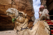 17 - Dromadaire à Petra